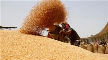   أسعار القمح تقفز إلى مستوى قياسي جديد بعد حظر الهند