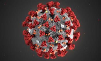   الإمارات تسجل 281 إصابة جديدة بفيروس كورونا