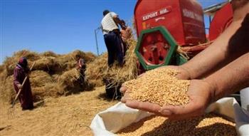   الحكومة تكشف حقيقة تأثر المخزون الاستراتيجي من القمح