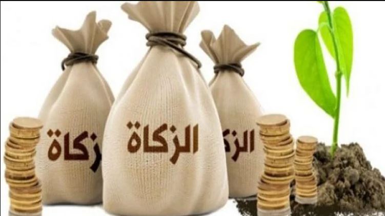 «البحوث الإسلامية» توضح الفرق بين زكاة الفطر والمال والصدقة