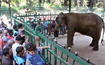   «الزراعة»: حديقة الحيوان استقبلت 40 ألف زائر في أول أيام عيد الفطر