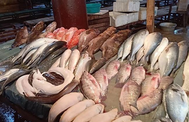 تراجع نسبي في أسعار الأسماك واللحوم والدواجن في الدقهلية 