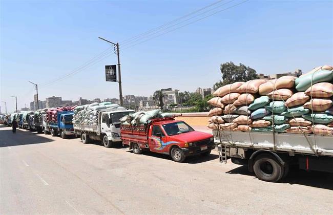 محافظ المنيا : توريد 293 ألف طن من الأقماح بالشون والصوامع 