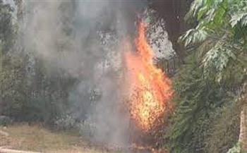   الحماية المدنية تسيطر على حريق محدود فى مخلفات زراعية بالمنيا