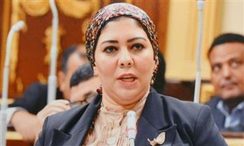   برلمانية : "مشروع مصر" جاء في توقيت مناسب ..ويساعد في مواجهة الأزمة الإقتصادية 