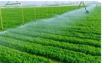   أستاذ مناخ: مشروع مستقبل مصر يزيد إنتاجية المحاصيل والمسطح الأخضر
