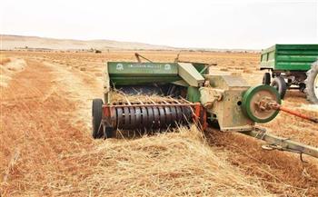   عميد زراعة عين شمس: مصر الأولى عالميا في إنتاجية فدان القمح