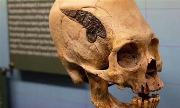العثور على جمجمة شاب توفى منذ 8 آلاف سنة