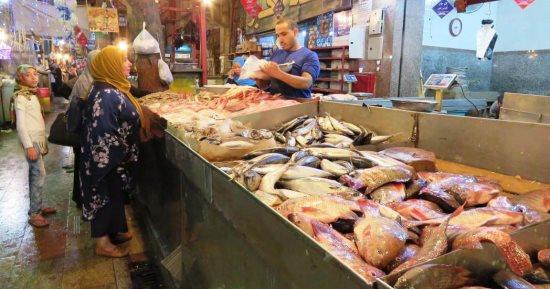 تراجع أسعار الأسماك اليوم بسوق العبور