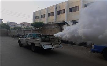 صحة البحيرة: حملات مكثفة لمكافحة البعوض والذباب بمدينة دمنهور 