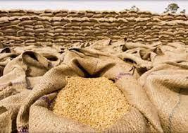 وزير التموين: احتياطي القمح يكفي ٥ أشهر