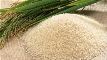   حكومة مدبولي تهدد محتكري الأرز