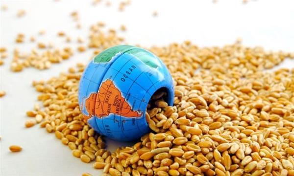 الإمارات تؤكد التزامها بدعم جهود تعزيز الأمن الغذائي العالمي