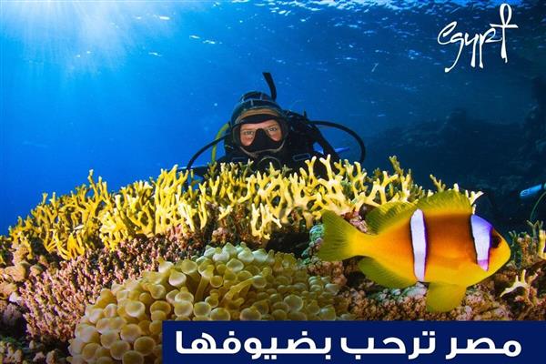 نتائج إيجابية للحملة الترويجية "مصر ترحب بضيوفها" للتعريف بالتسهيلات الجديدة للتأشيرة السياحية