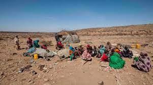   الصومال: تأثر 6.9 مليون شخص بموجة الجفاف الحادة بالبلاد