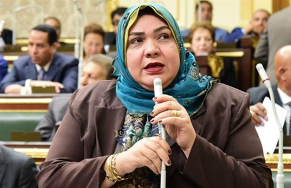 برلمانية تثمن جهود التنمية المحلية في عدد من الملفات الحيوية
