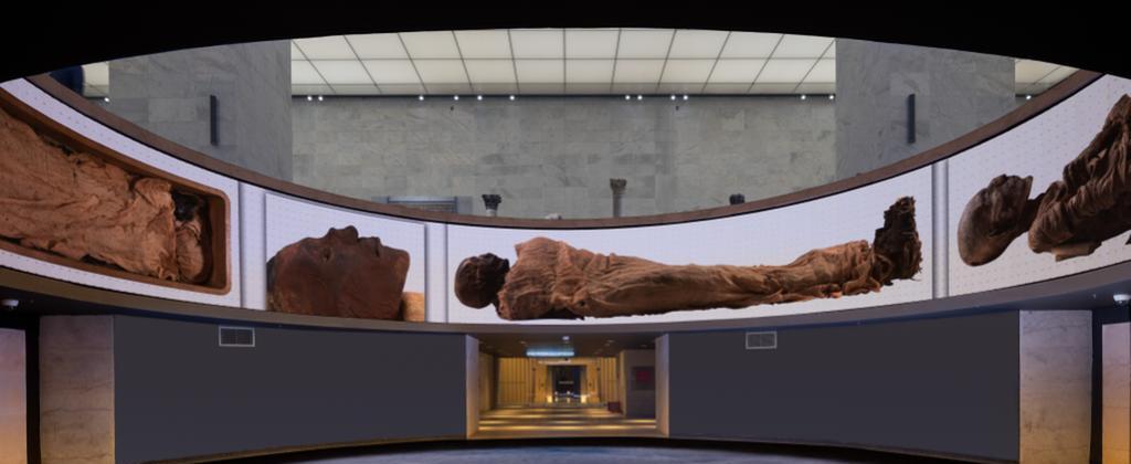 رؤى المتاحف المصرية الكبرى في القرن الحادي والعشرين ندوة بمتحف الحضارة