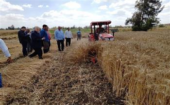 «الزراعة» تتابع حصاد القمح وتسهيل إجراءات التوريد أمام المزارعين في الشرقية