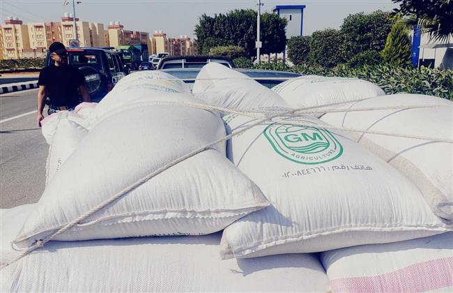 ضبط سيارتين مُحملين بـ قمح محلي بوادي النطرون قبل نقلهم خارج المحافظة