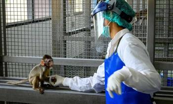   الأرجنتين تعلن عن أول إصابة مؤكدة بجدرى القرود