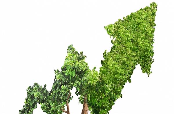 مؤتمر «مصر تستطيع» يناقش التحول الأخضر وملفات البيئة مع الخبراء