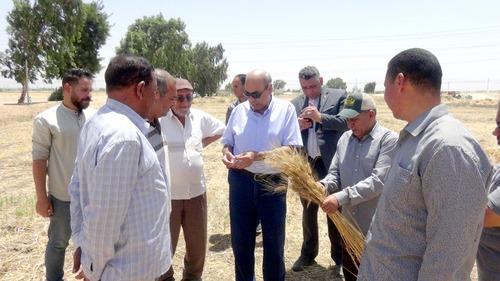رئيس جامعة المنيا يتفقد حصاد القمح بمركز التجارب والبحوث الزراعية