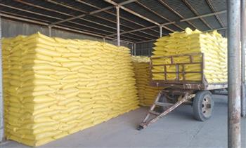   «الزراعة» تقوم باعداد تقاوي القمح للموسم الجديد بمشروع مستقبل مصر الزراعي