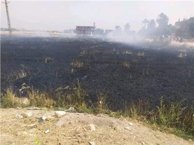 إخماد حريق بزراعات القمح بقرى سوهاج