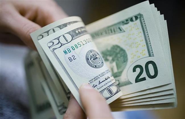 سعر الدولار يوم الثلاثاء 31_5_2022 