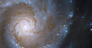   هابل يلتقط صورة لمجرات حلزونية على بعد 53 مليون سنة ضوئية من الأرض