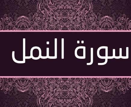 سورة النمل .. سر تسميتها وحكم قراءتها لطرد الحشرات