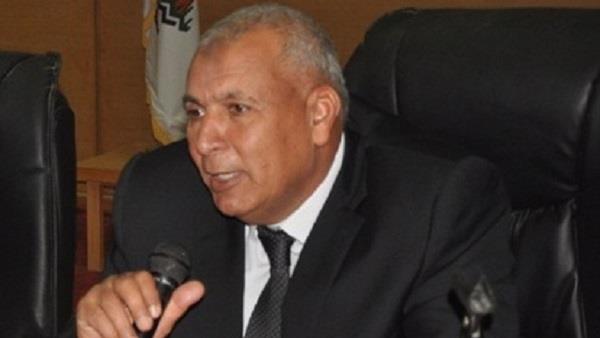 محافظ الوادي الجديد: توريد 111 ألف طن قمح للشون والصوامع حتى الآن