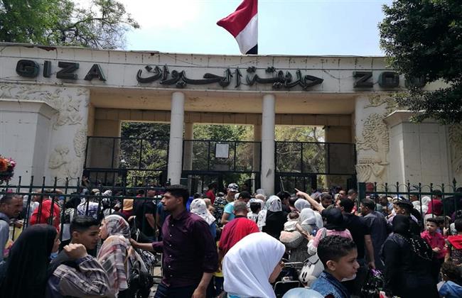 300 ألف زائر لحديقة حيوان الجيزة خلال إجازة عيد الفطر