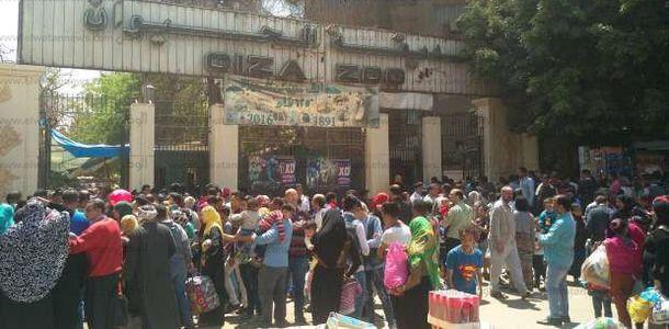 حديقة الحيوان: وصلنا لـ نصف مليون زائر في ثالث أيام عيد الفطر.. فيديو