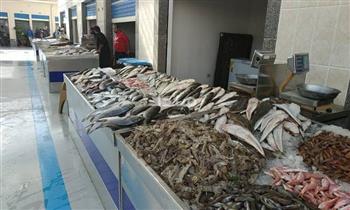   سوق الأسماك الجديد ببورسعيد يشهد إقبالًا كبيرًا من المواطنين