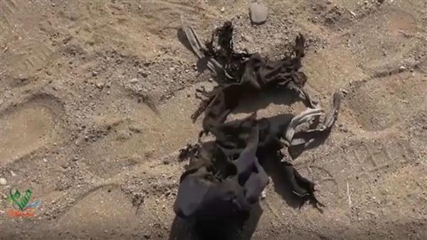 اليمن...مقتل مدني جراء انفجار لغم في الحديدة والعثور على حقل ألغام في مأرب