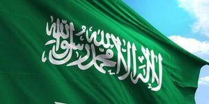   صحيفة "البلاد" السعودية: المملكة تسعى إلى تحقيق الاستقرار في اليمن