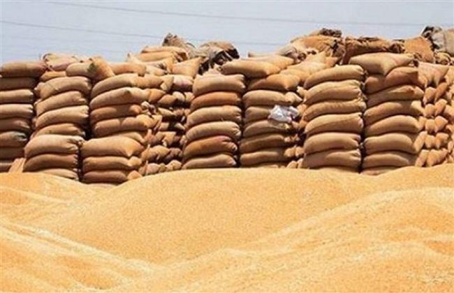 محافظ الفيوم: توريد 22214 طنا من الأقماح بشون وصوامع المحافظة