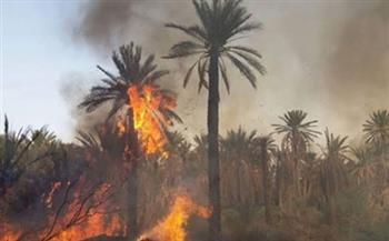   السيطرة على حريق داخل مزرعة بطريق الإسكندرية الصحراوي