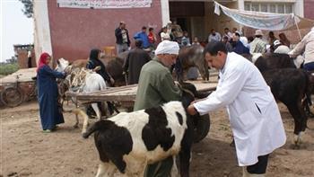 فحص وعلاج أكثر من 3500 رأس ماشية مجانا بقنا