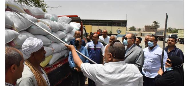 محافظ أسيوط: 147 ألف طن قمح محلي تم توريدها للشون والصوامع 