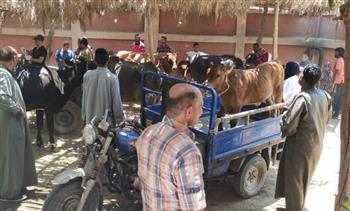 ختام القافلة البيطرية لمعهد بحوث التناسليات بمحافظة قنا 