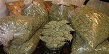 ضبط 5 أجولة بداخلها 50 كجم بانجو قبل بيعها