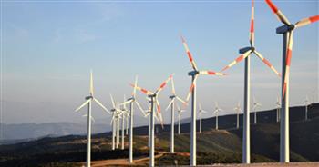   الحكومة توافق على البدء في مشروع توليد الكهرباء من طاقة الرياح بمنطقة خليج السويس