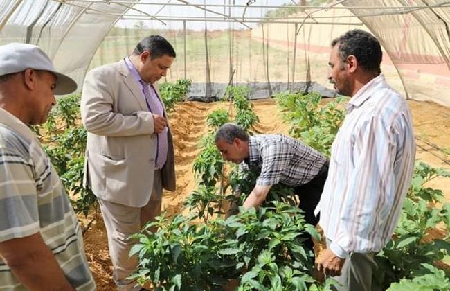 محافظ الوادي الجديد يتفقد مشروع الصوب الزراعية بمنطقة المعلمين بالخارجة