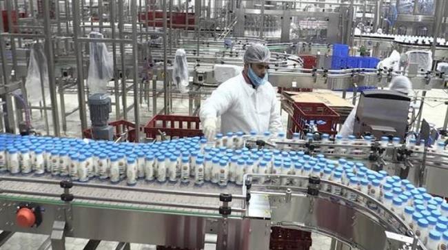 الزراعة: رفع كفاءة 218 مركز تجميع ألبان.. وصغار المربين لديهم 80% من الثروة الحيوانية