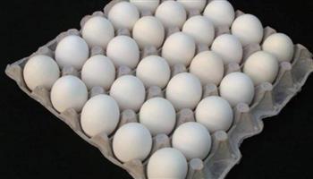   ننشر أسعار طبق وكرتونة البيض في السوق المحلية