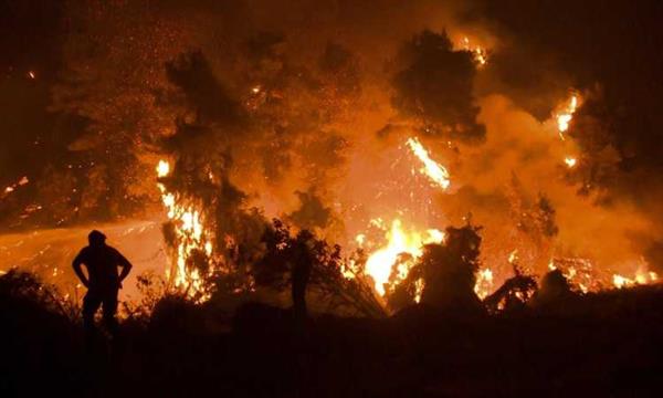 تضرر أكثر من 14 ألف فدان فى باكستان بسبب حرائق الغابات