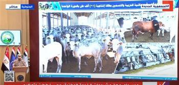 الرئيس السيسي يشهد افتتاح مشروع مجمع الانتاج الحيواني والألبان في مدينة السادات