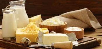 تدشين أكبر مركز أبحاث فى العالم لبحوث منتجات الألبان والجبنة بدمياط